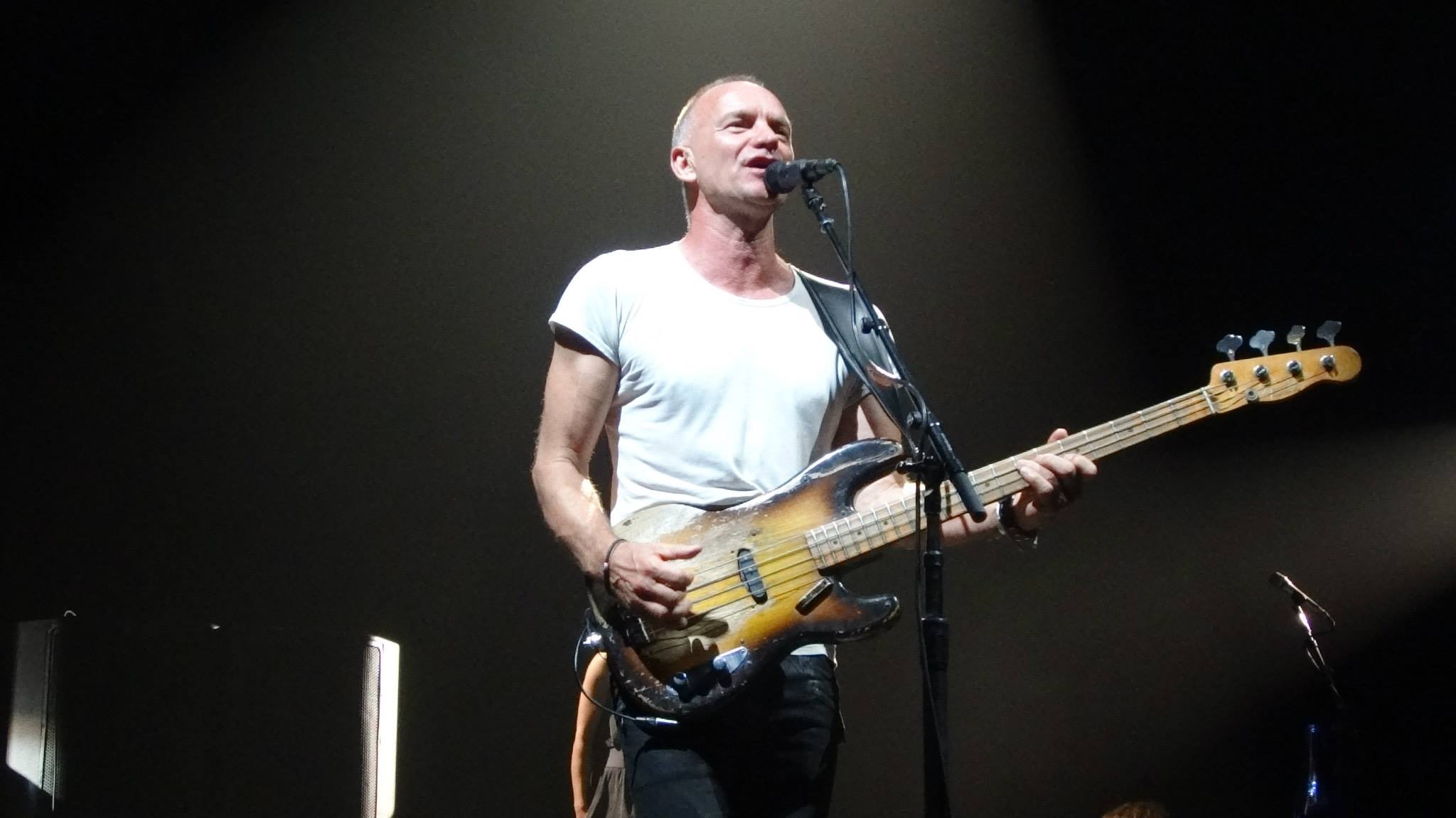 2013 06 22 Sting 1 Rosann Costa.jpg