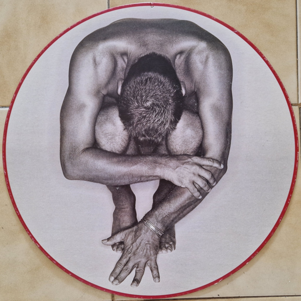 File:1994 Fields cardboard round Toni Carbo.png