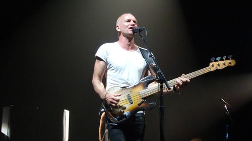 2013 06 22 Sting 1 Rosann Costa.jpg