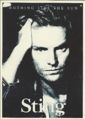 Sting nothing postcard Ref 81.jpg