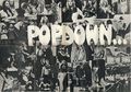 Popdown program poster.jpg