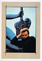 Sting statue postcard.jpg