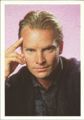 Sting white edge postcard.jpg