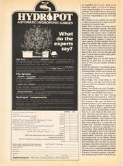 1982 07 High Times 03.jpg