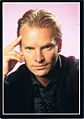 Sting black edge postcard.jpg