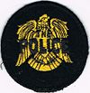 Patch THE POLICE eagle yellow.jpg