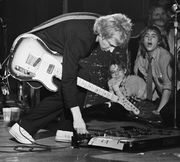 Andy best sale summers pedalboard