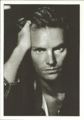 Sting nothing postcard France 95040.jpg