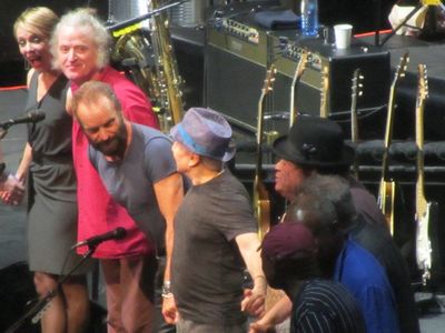 2015 02 10 Sting Mal Cook.jpg