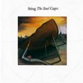 Sting-album-soulcages.jpg