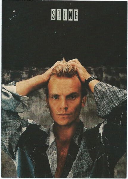 File:Sting grey jacket hands head.jpg