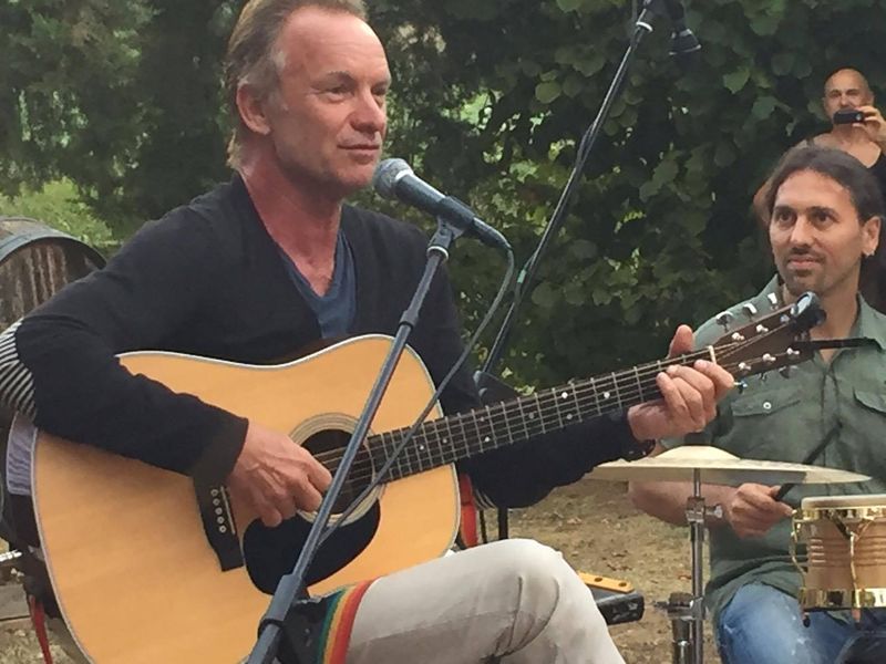 File:2016 08 18 Sting 1 Mathieu Klaassen.jpg