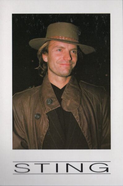 File:Sting hat Roberto Viscardi.jpg