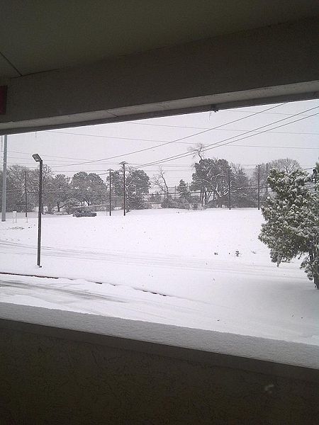 File:2011 02 04 Dallas GinaKillingsworth.jpg