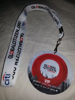 2014 09 27 VIP pass Rosann Costa.jpg