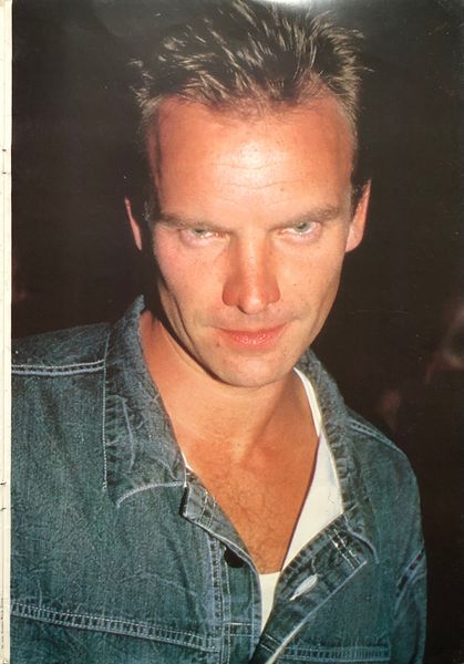 File:Sting poster book 13.jpg