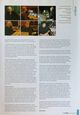 2007 07 Lighting And Sound International 12.jpg