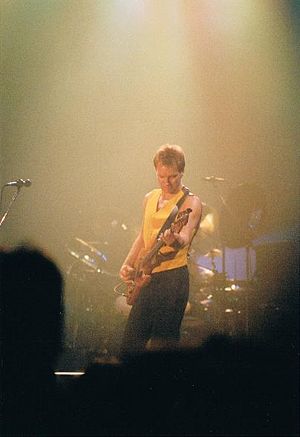 1991 11 16 sting2 irisedinger.jpg