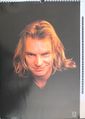 1995 Sting calendar 12.jpg