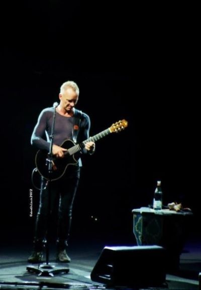 2012 12 15 Sting 2 Dodi Ris.jpg