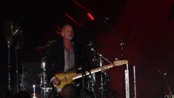 2014 09 27 Sting 1 Rosann Costa.jpg