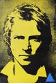 1980 Zenyatta yellow Andy.jpg
