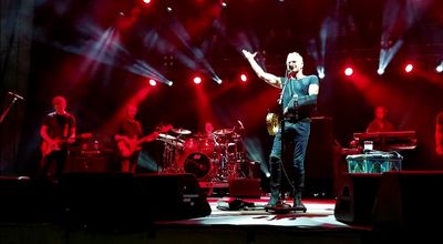 2019 11 08 Sting Matthew Brown.jpg