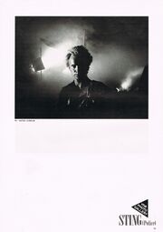 1984 02 Viva Rock 01.jpg