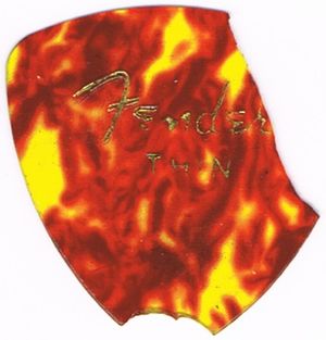 1983 08 21 guitar plectrum.jpg