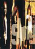 1993 07 06 flyer 3 Dietmar.jpg