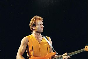 1991 11 30 sting1 irisedinger.jpg