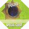 2007 green special guest pass Dietmar.jpg