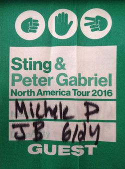 2016 06 24 backstage pass Michele Piumini.jpg