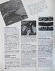 1985 08 Popluar 1 Especial Police 22.jpg