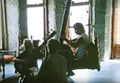 1980 03 jam 01.jpg