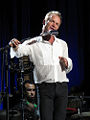 2010 07 11 Sting PeterHutchins.jpg