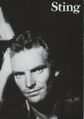 Sting nothing Robert Viscardi.jpg