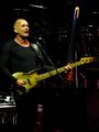 2014 02 16 Sting photo John Hardin.jpg