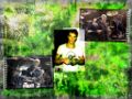 Kryptonite-1a.jpg
