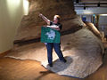 2008 Red Rocks Pecos.jpg