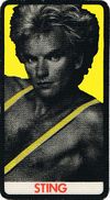 1982 Sting cloth sticker.jpg