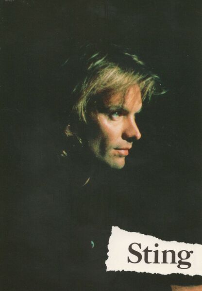 File:Sting long hair dark Roberto Viscardi.jpg