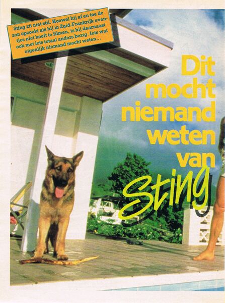 File:1984 07 28 Hitkrant 01.jpg