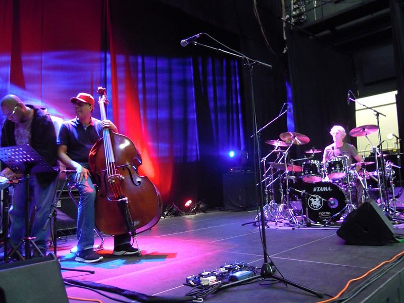 File:2012 07 12 Copeland photo Sergio Fanton.jpg