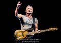 2022 10 19 Sting Forker Fotos.jpg